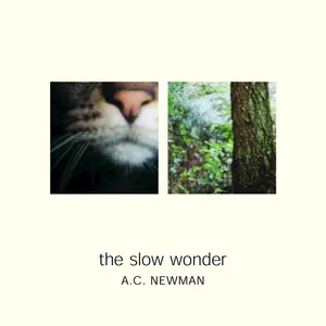 The slow wonder